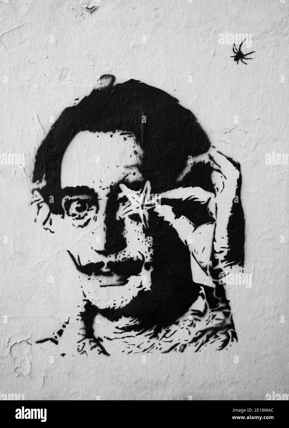 Ambiance des rues parisiennes. Portrait de graffiti Salvador Dali avec étoile de mer et araignée (pochoir) sur le mur de la vieille maison. Photo noir et blanc Banque D'Images