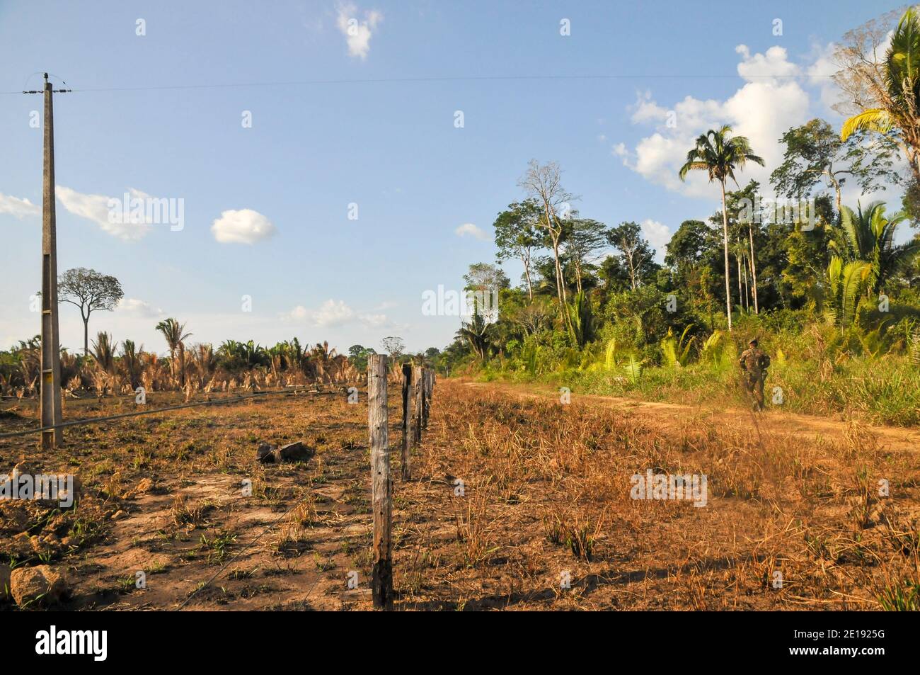 Les effets de la déforestation sur la forêt amazonienne au Brésil Banque D'Images