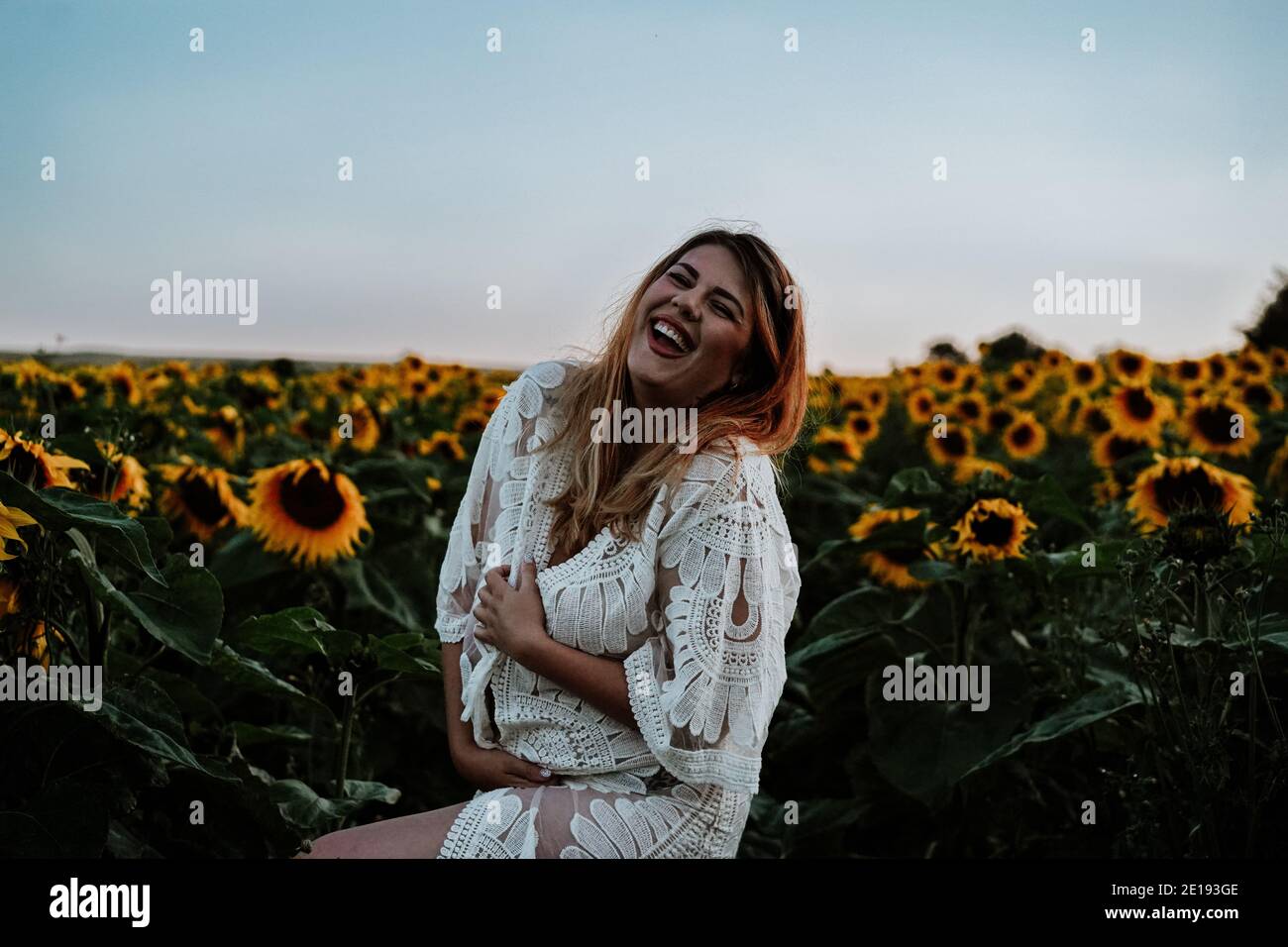Femme Brunette à Sunflower Field, Royaume-Uni Banque D'Images