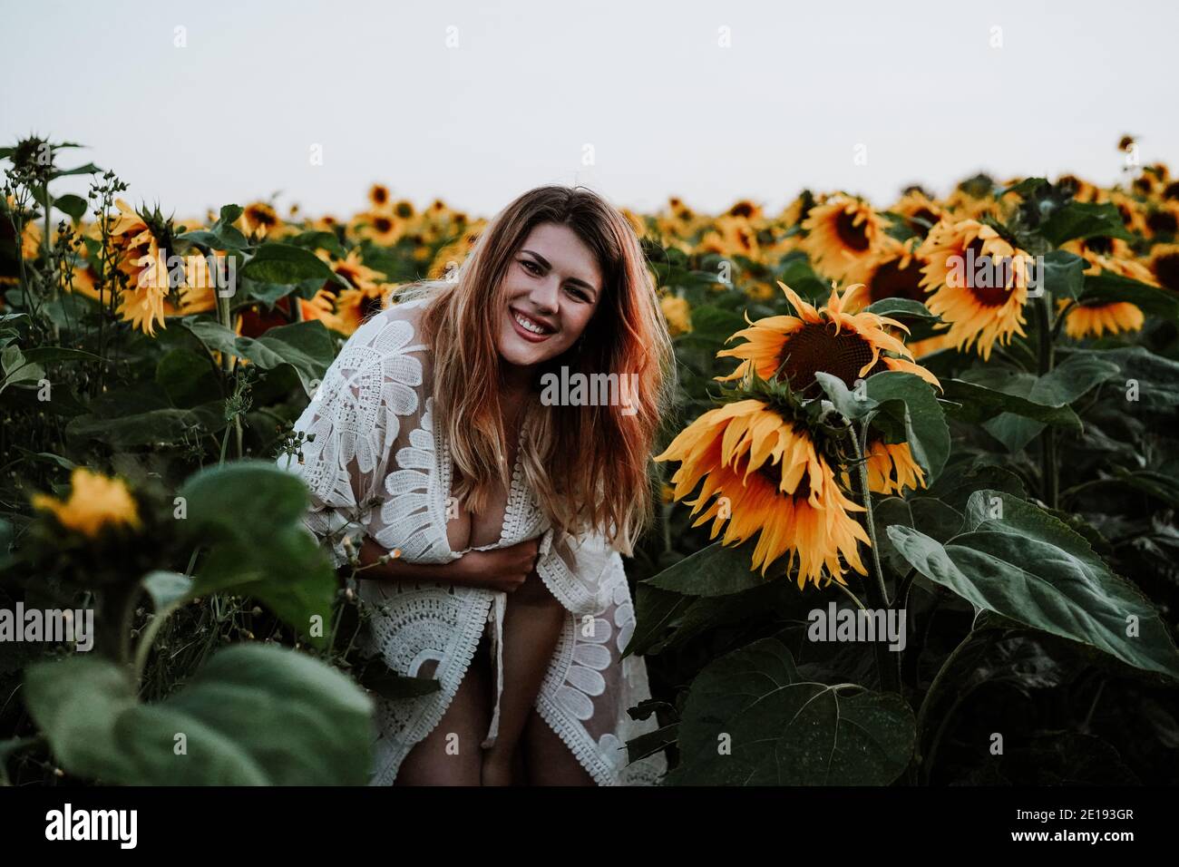 Femme Brunette à Sunflower Field, Royaume-Uni Banque D'Images