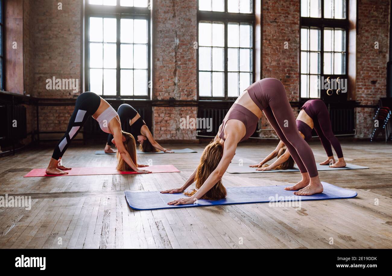 Quatre femmes font complexe d'asanas de yoga étirant dans la classe de style loft. Adho Mukha Svanasana - posture du chien vers le bas Banque D'Images