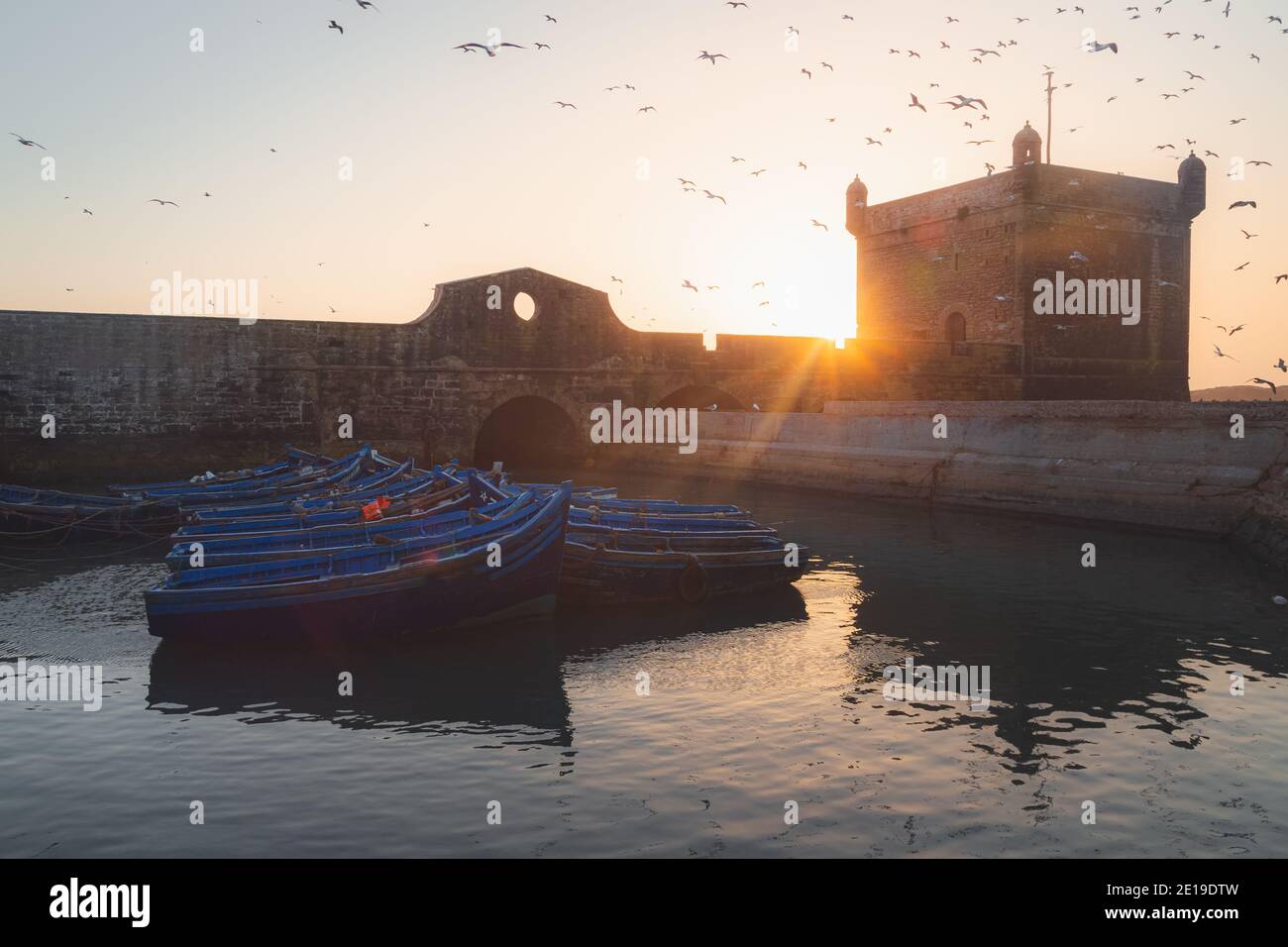 Un port de soirée clair à la citadelle historique d'Essaouira avec des troupeaux de mouettes qui remplissent le ciel. Banque D'Images