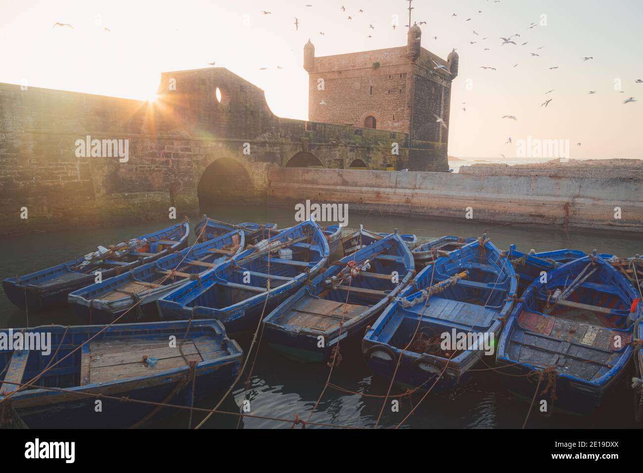 Un port de soirée clair à la citadelle historique d'Essaouira avec des troupeaux de mouettes qui remplissent le ciel. Banque D'Images