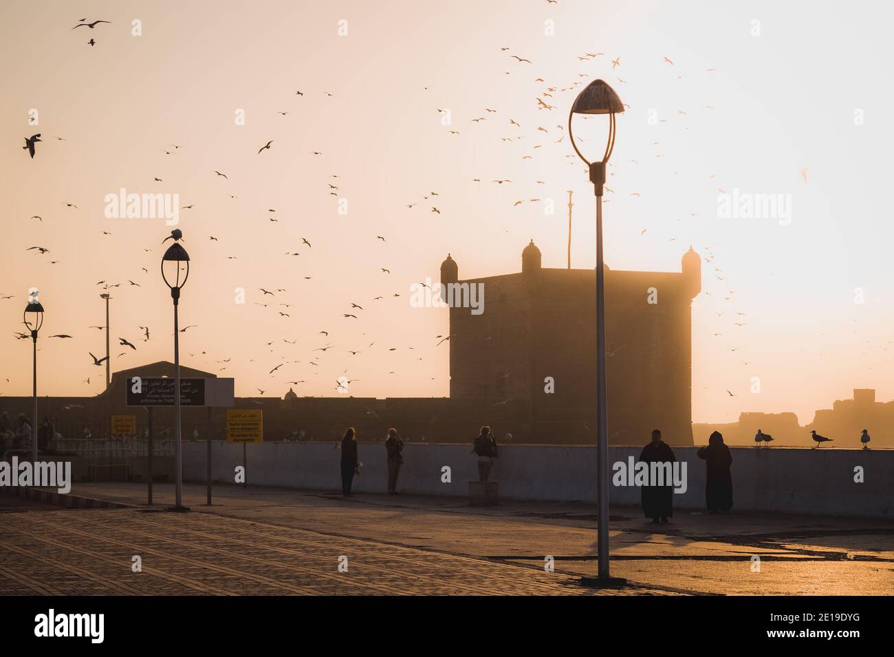 Les touristes et les habitants de la région profitent d'un passage en soirée à la citadelle historique d'Essaouira avec des troupeaux de mouettes qui remplissent le ciel. Banque D'Images