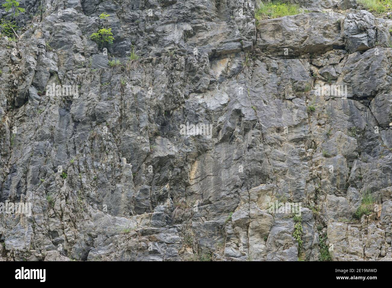 Texture de la face rocheuse abîmé dans une ancienne fosse en pierre avec des parties de vert. Motif d'arrière-plan de la surface du mur en pierre vieilli avec fissures et rayures. Banque D'Images