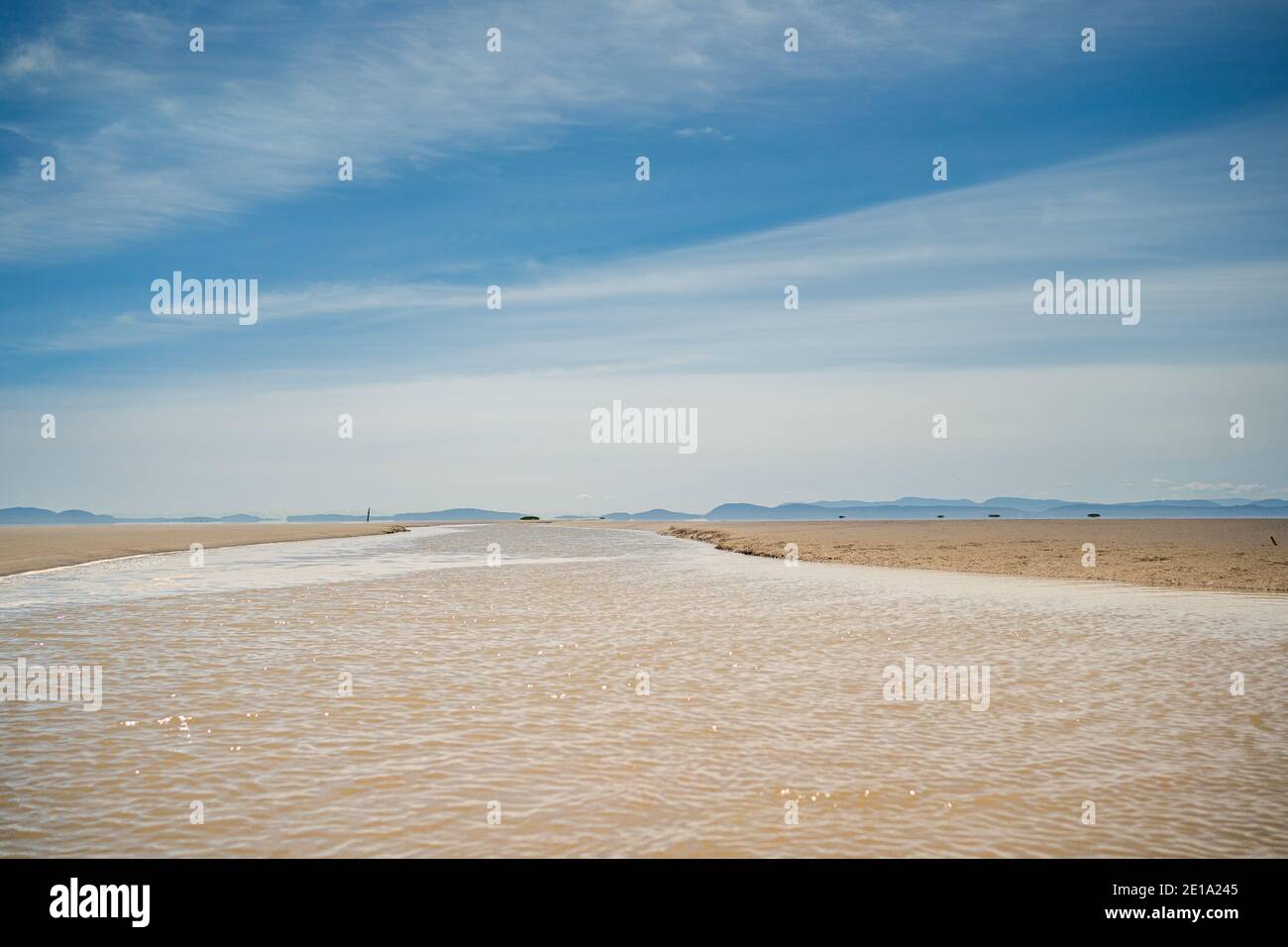 Estuaire du fleuve Fraser à marée basse exposant ses bancs de sable. Banque D'Images