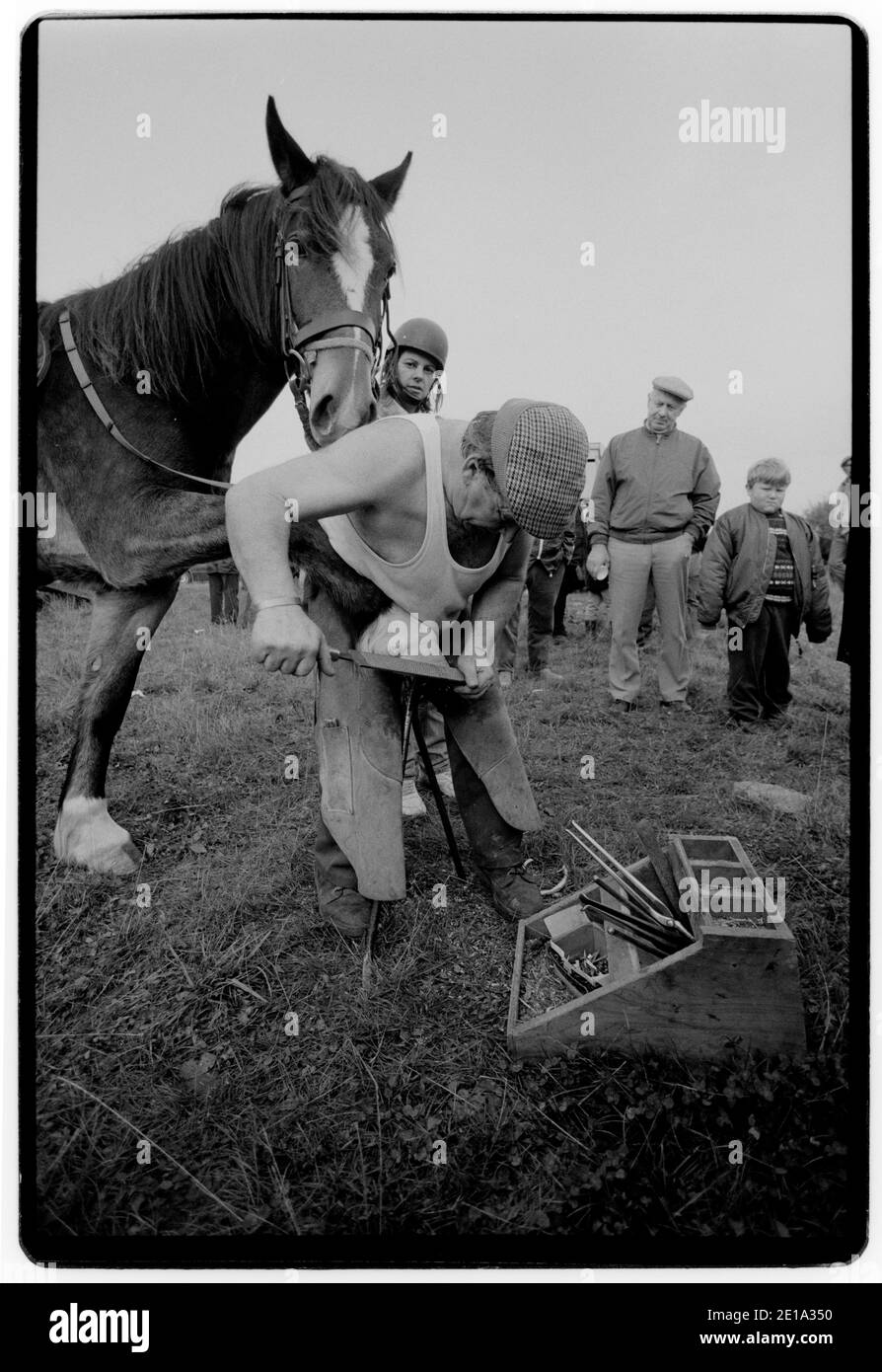 Stow on the Wold Gloucestershire England Gypsy Horse Fair octobre 1996 les chevaux sont rasés pour montrer la qualité du tuyau et du pilote. Au Royaume-Uni, il y a de nombreuses foires auxquelles participent traditionnellement les Romani et les voyageurs qui convergent aux foires pour acheter et vendre des chevaux, rencontrer des amis et des relations et célébrer leur musique, leur histoire et leur folklore. Banque D'Images
