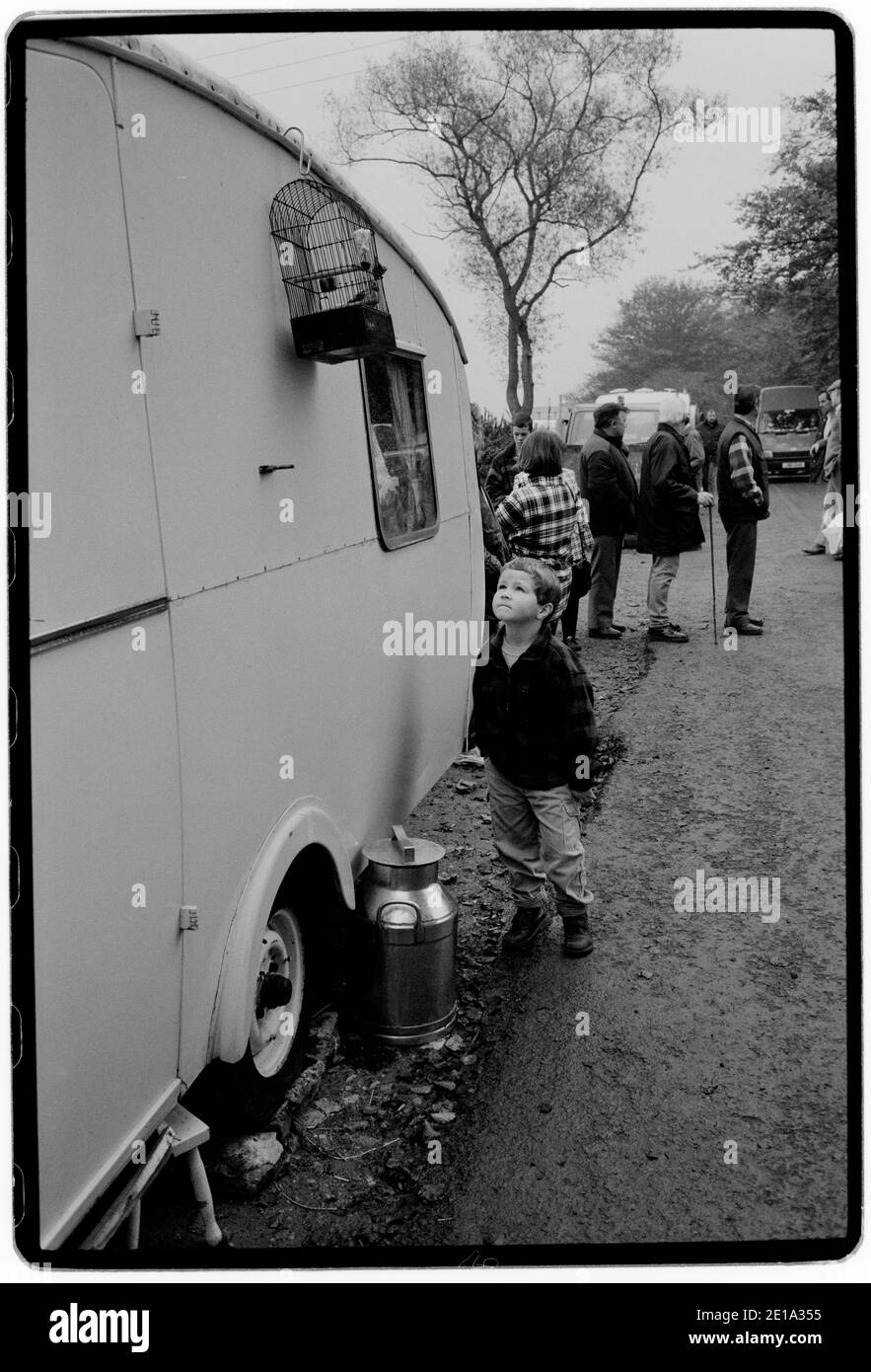 Stow on the Wold Gloucestershire England Gypsy Horse Fair octobre 1996 les chevaux sont rasés pour montrer la qualité du tuyau et du pilote. Au Royaume-Uni, il y a de nombreuses foires auxquelles participent traditionnellement les Romani et les voyageurs qui convergent aux foires pour acheter et vendre des chevaux, rencontrer des amis et des relations et célébrer leur musique, leur histoire et leur folklore. Banque D'Images