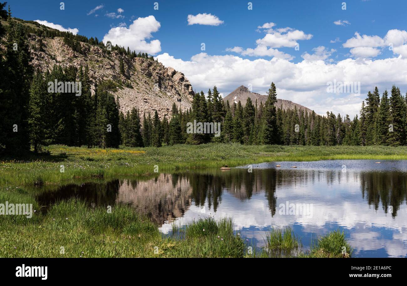 Le pic Turner de 13,237 pieds se reflète dans le haut lac alpin, dans la forêt nationale de San Isabel, Colorado. Banque D'Images