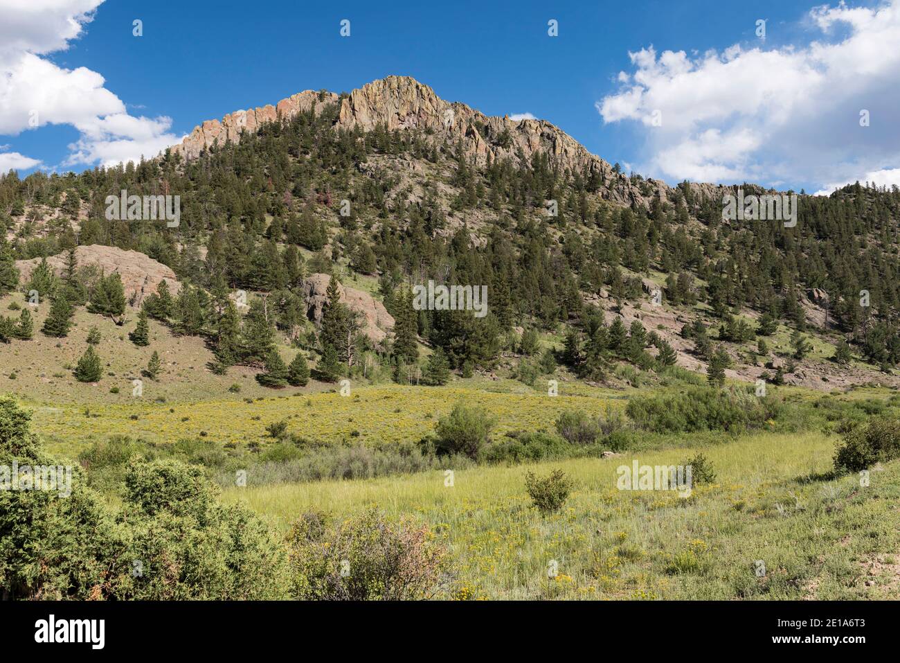Castle Rock Gulch dans la forêt nationale de San Isabel, Colorado. Banque D'Images