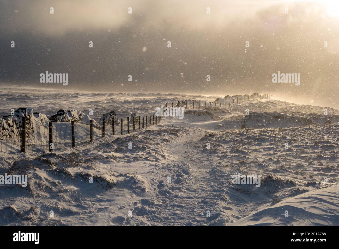 Soufflant de neige pendant une journée d'hiver sur Brown Knoll près de Kinder Scout, Peak District Banque D'Images