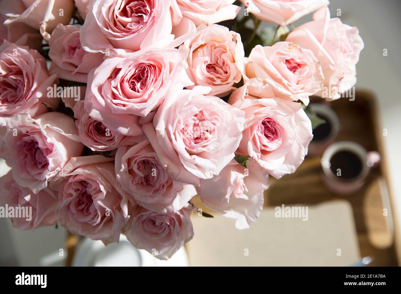 Rose blanc Rose O'hara. Bouquet de roses roses dans un vase en verre avec une théière blanche et deux tasses de cappuccino sur un plateau sur une table basse parmi les livres. Banque D'Images