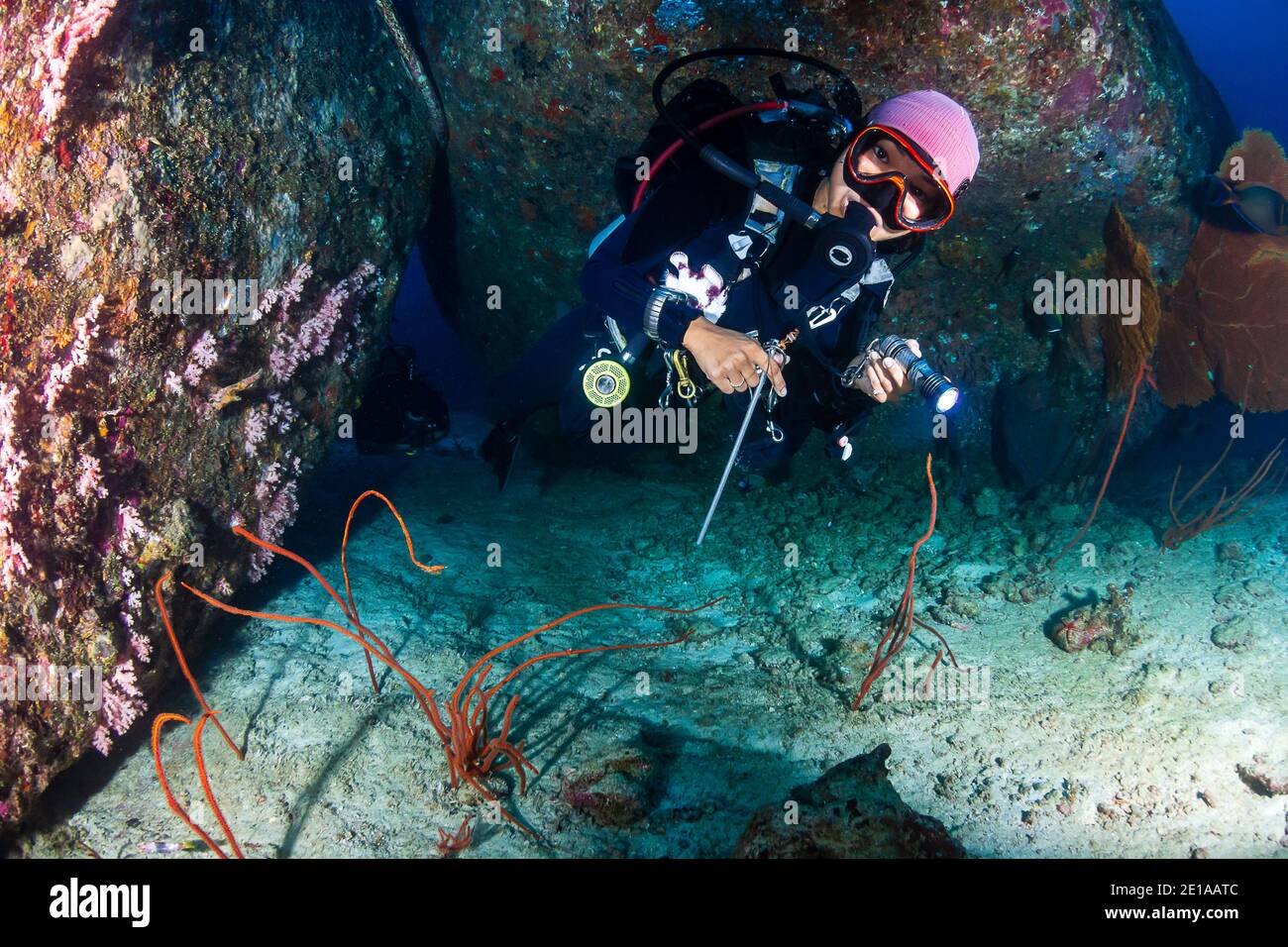 Plongée sous-MARINE féminine sur un récif de corail tropical dans la mer d'Andaman, en Asie. Banque D'Images