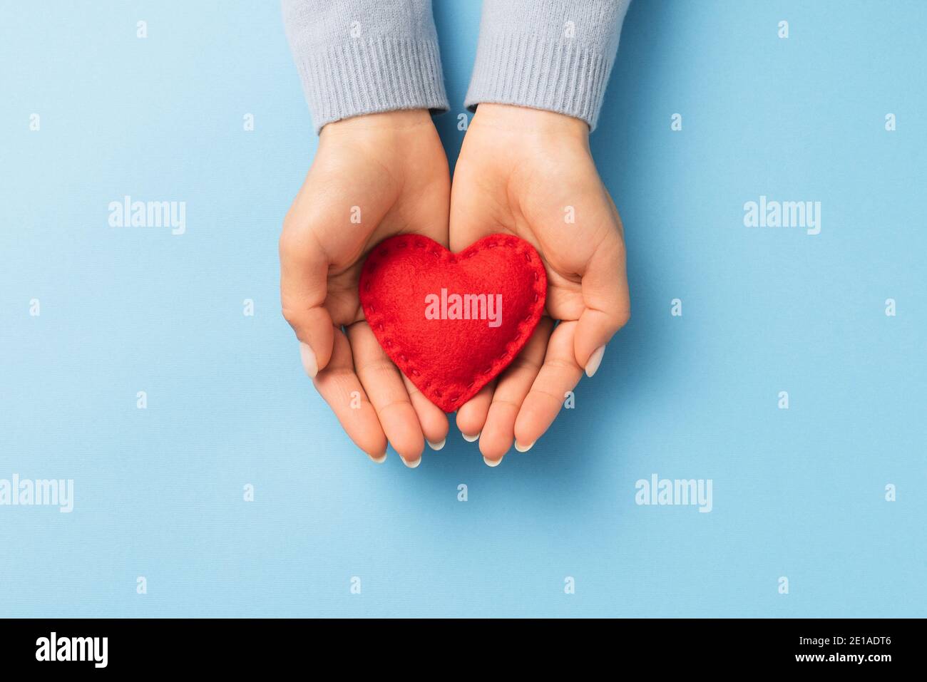 Concept de la Saint-Valentin avec un cœur rouge dans les palmiers d'une femme sur fond bleu Banque D'Images