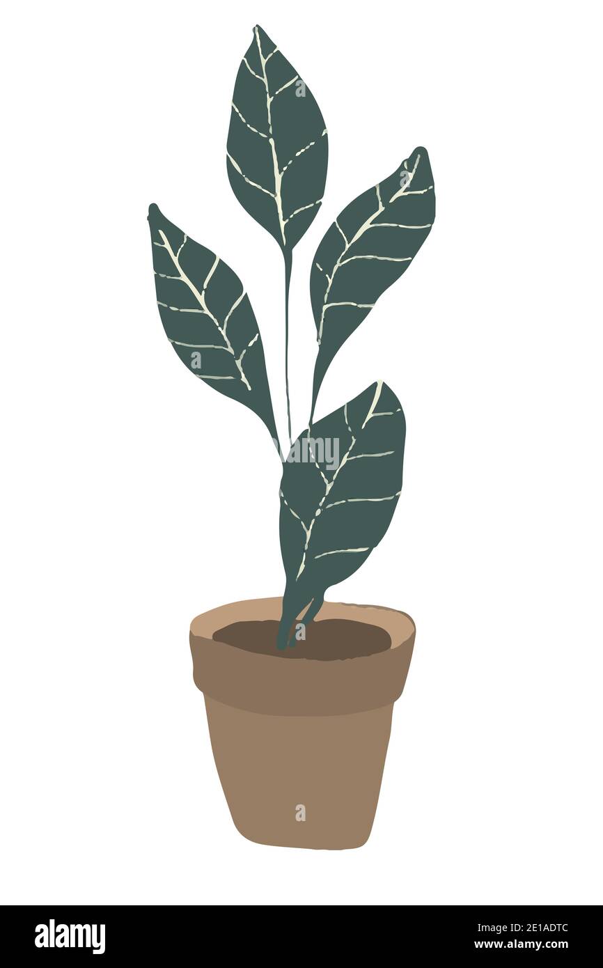 Prendre soin des plantes de la maison. Quartier sur les fleurs. Ficus avec lettrage et avec un motif. Entretien des plantes. Illustration plate de boho pour cartes, bannières, articles Banque D'Images