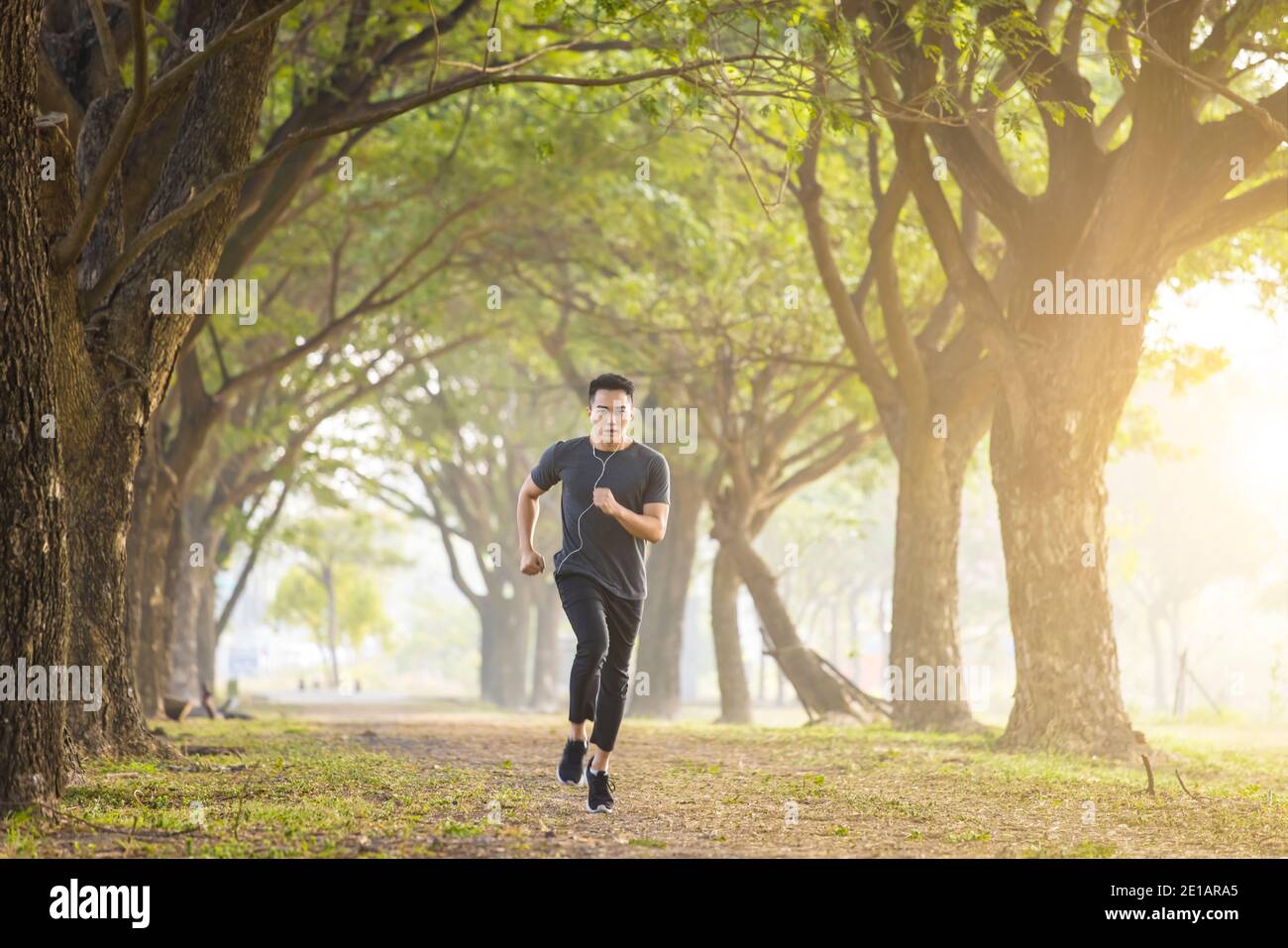 Homme courant dans la forêt sur brouillard au printemps matin Banque D'Images