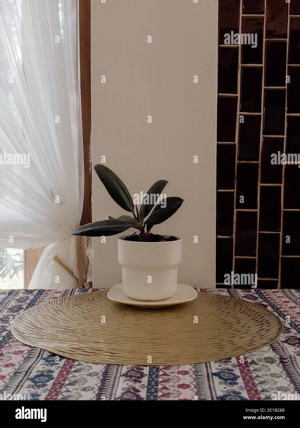 Table d'espace libre avec plante verte, photo de stock Banque D'Images