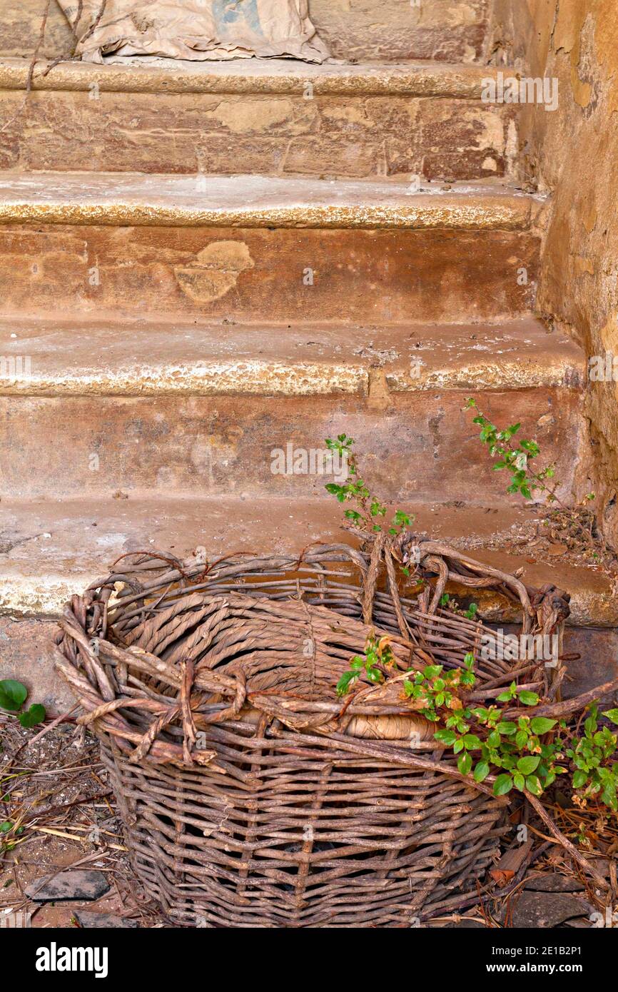 Ancien panier de canne au fond des escaliers en béton, Crète, province de Sienne, Toscane, Italie Banque D'Images
