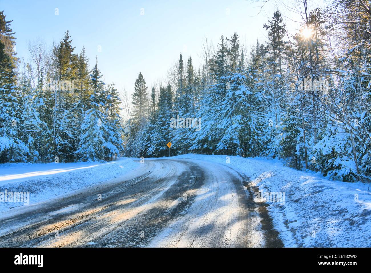 Des arbres à feuilles persistantes enneigées bordent la route, le jour de l'hiver. Banque D'Images