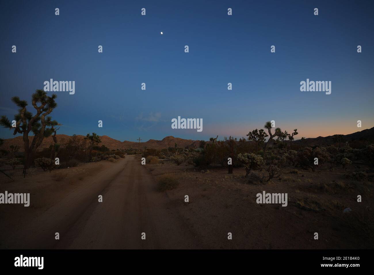 Joshua Tree, Californie, États-Unis. 26 décembre 2020. Une route de sable et de terre au coucher du soleil à Joshua Tree. Le parc national de Joshua Tree, dans le sud-est de la Californie, porte le nom des Joshua Trees (Yucca brevifolia), indigènes du désert de Mojave. Initialement déclaré monument national en 1936, Joshua Tree a été redésigné comme parc national en 1994 lorsque le Congrès américain a adopté la California Desert protection Act. Couvrant un total de 790,636 acres, y compris les zones sauvages désignées. À cheval entre les comtés de San Bernardino et de Riverside, le parc comprend des parties de deux déserts, chacun un écosystème dont la caractéristique est Banque D'Images