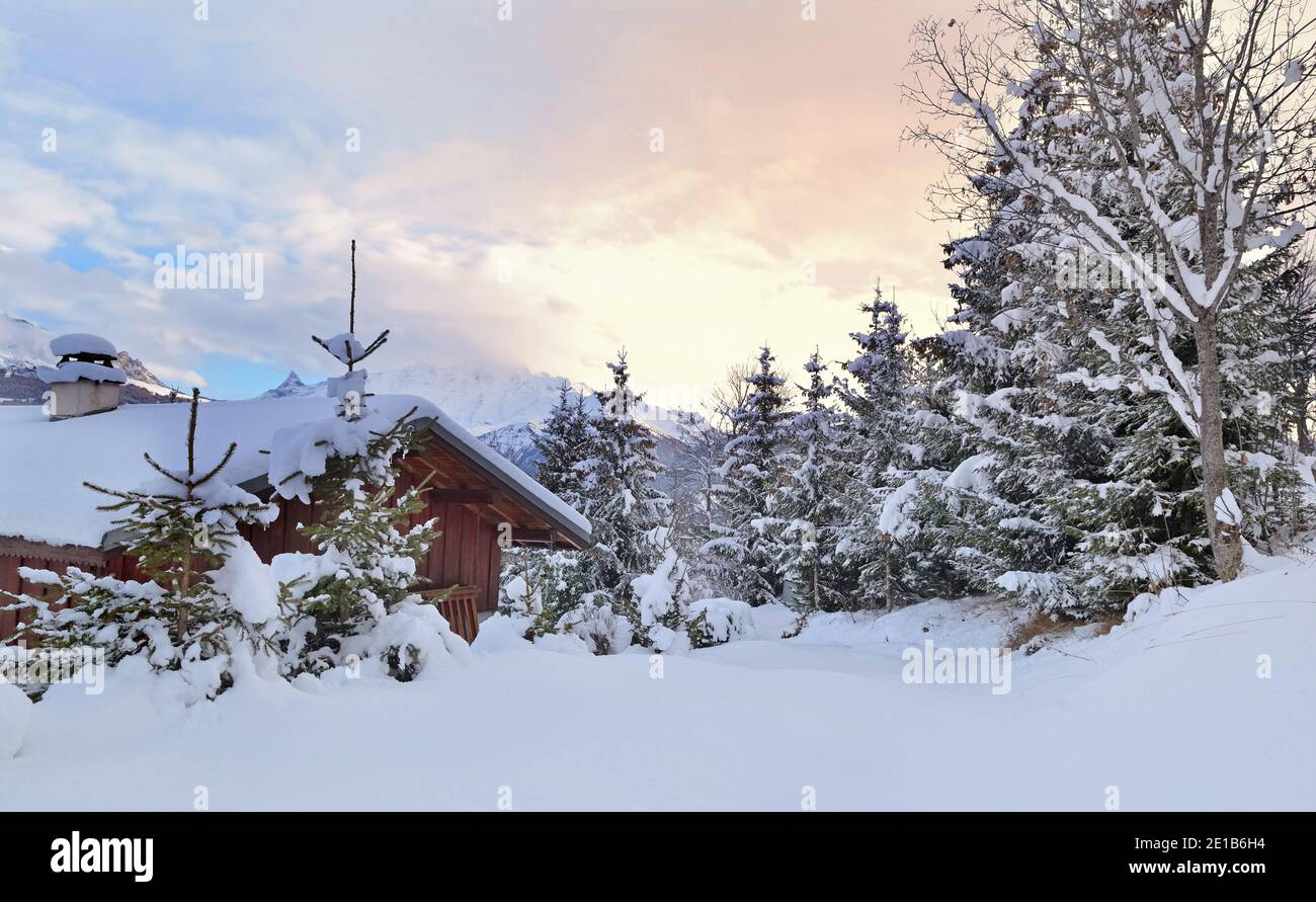 belle vue sur un chalet alpin en bois dans le frais neige avec sapins au coucher du soleil Banque D'Images