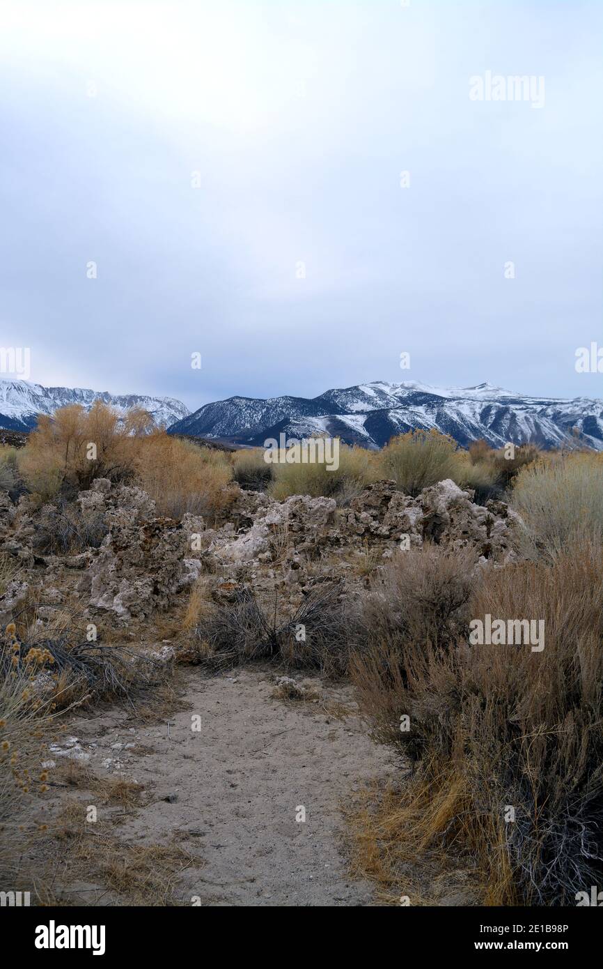 Magnifique Mono Lake Tufa State Natural Reserve dans l'est de la Californie un jour froid de décembre, tufa pinnacles au crépuscule Banque D'Images