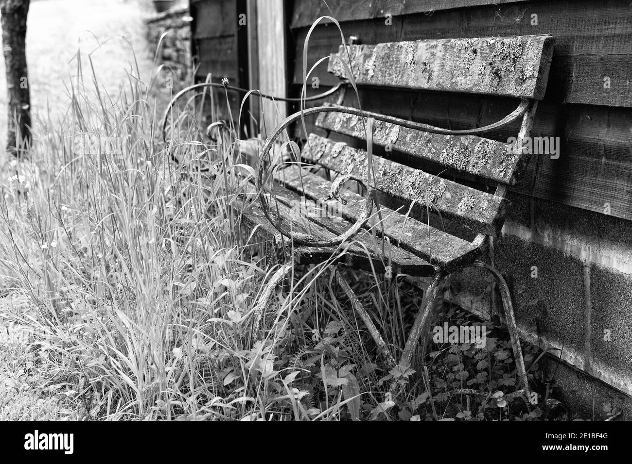 Vieux banc en décomposition contre un ancien hangar dans un jardin rural. Paysage monochrome noir et blanc Banque D'Images