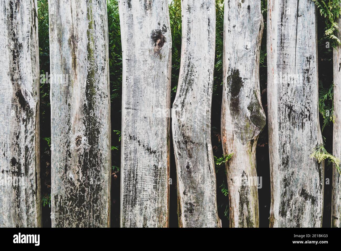 Ancienne clôture en bois en planches. Mise au point sélective. Banque D'Images