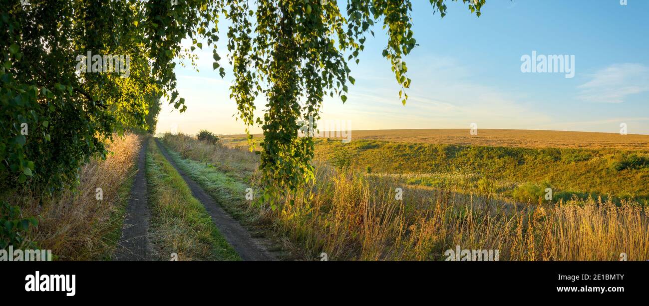 Paysage rural d'été tranquille avec route de campagne et champs de ferme pendant une matinée calme et ensoleillée Banque D'Images