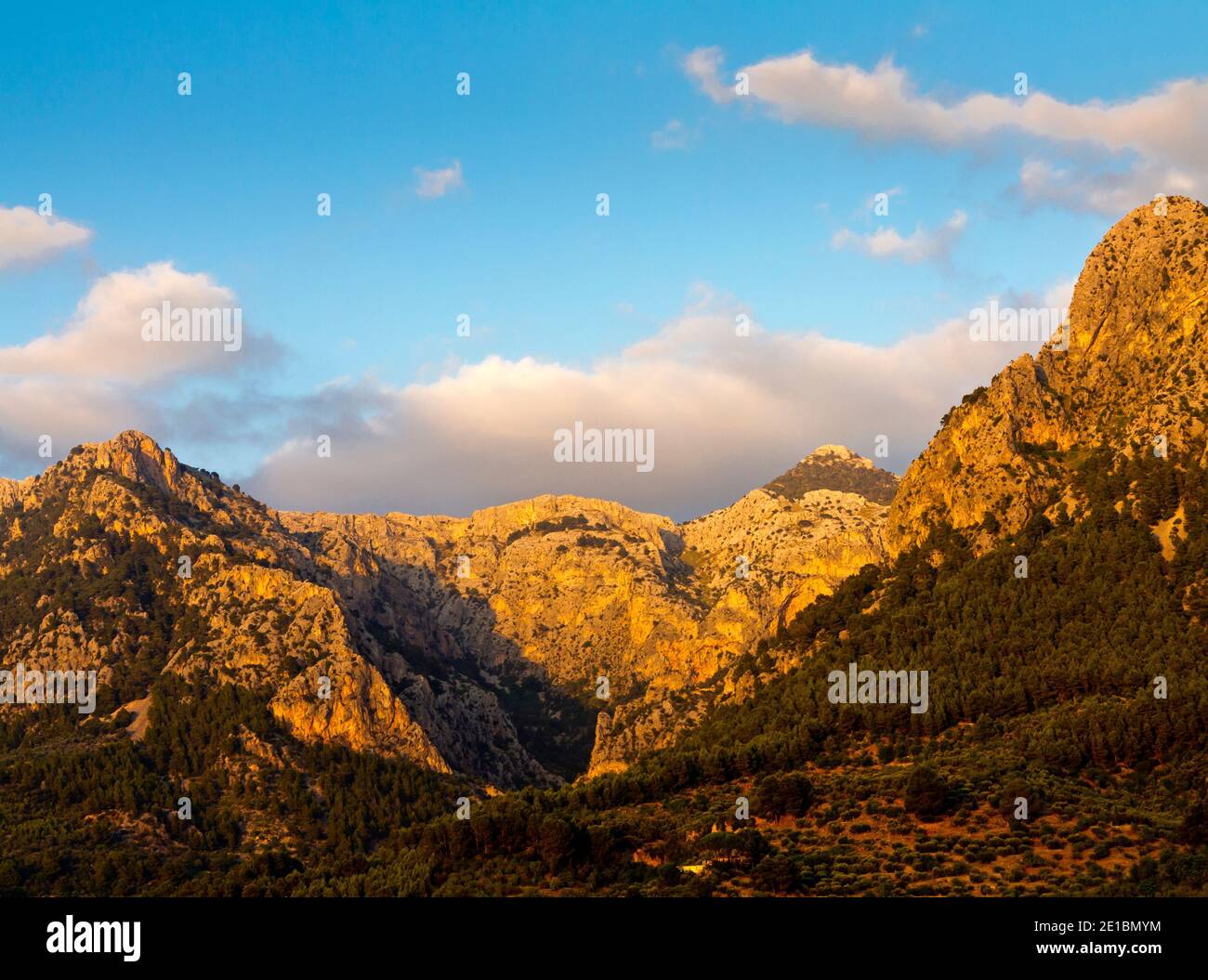 Lumière du soir sur les montagnes de Serra de Tramuntana près de Soller dans le nord-ouest de Majorque Espagne un site classé au patrimoine mondial de l'UNESCO. Banque D'Images