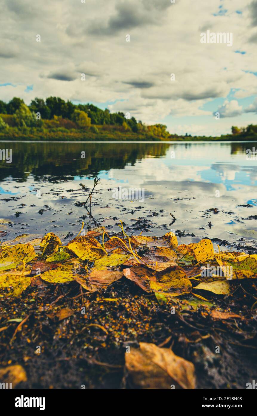 Scène d'automne avec des feuilles jaunes sèches sur la rive du lac. Banque D'Images
