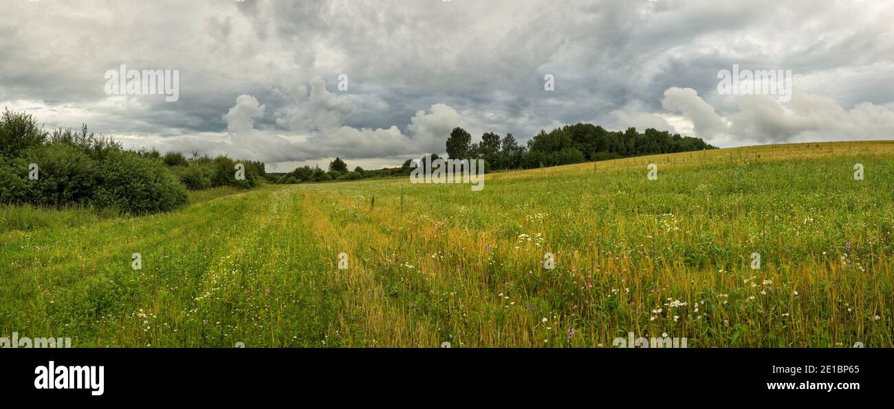 Vue panoramique sur les collines verdoyantes et les arbres au bord du champ. Paysage rural d'été nuageux. Banque D'Images