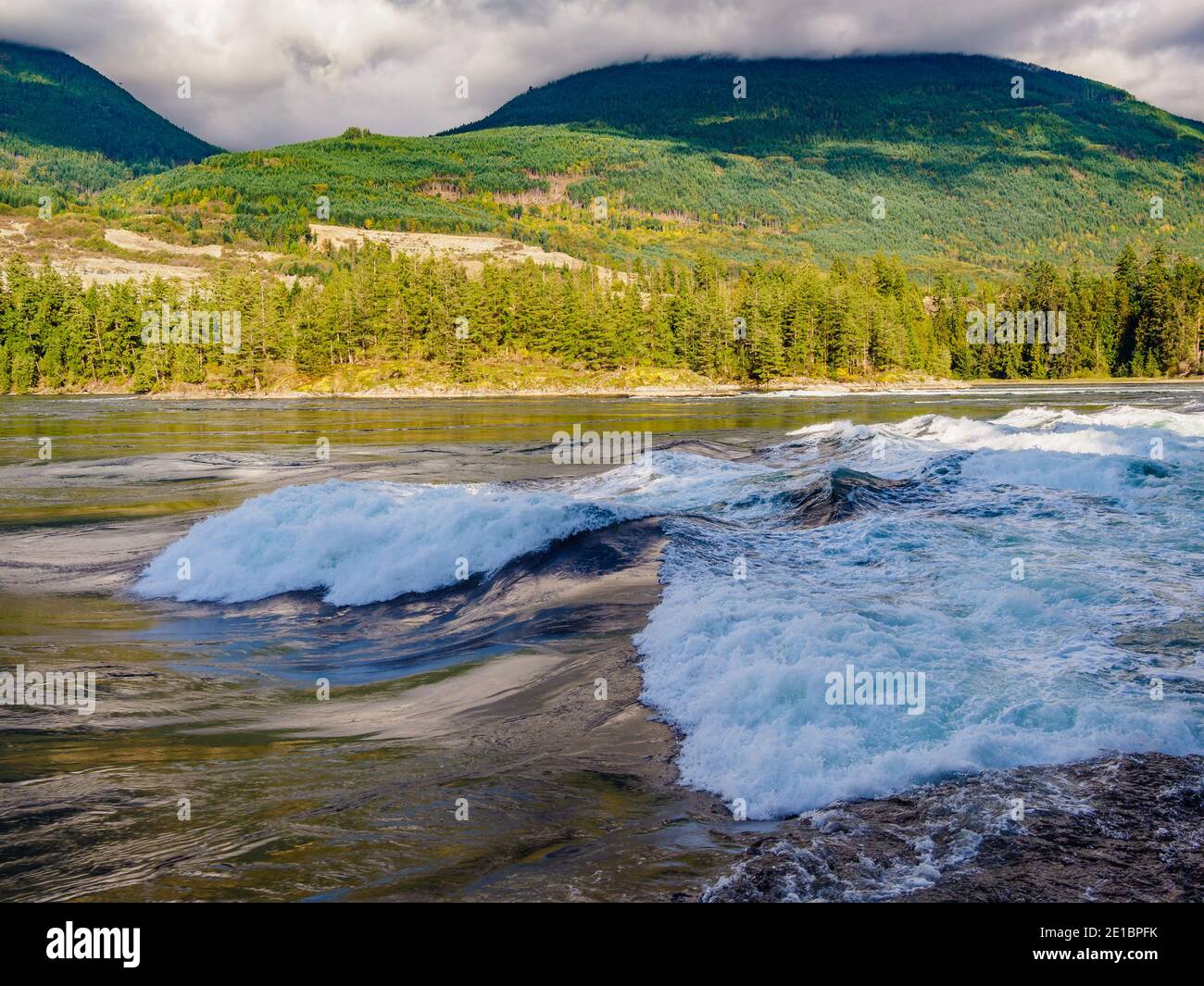 Sechelt Rapids, parc provincial Skookumchuck Narrows, Sunshine Coast, Colombie-Britannique, Canada Banque D'Images