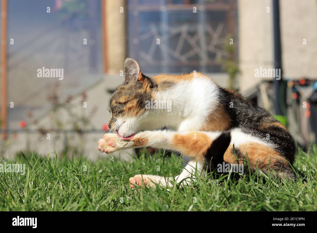 Hunter Daily Banque De Photographies Et D Images A Haute Resolution Alamy