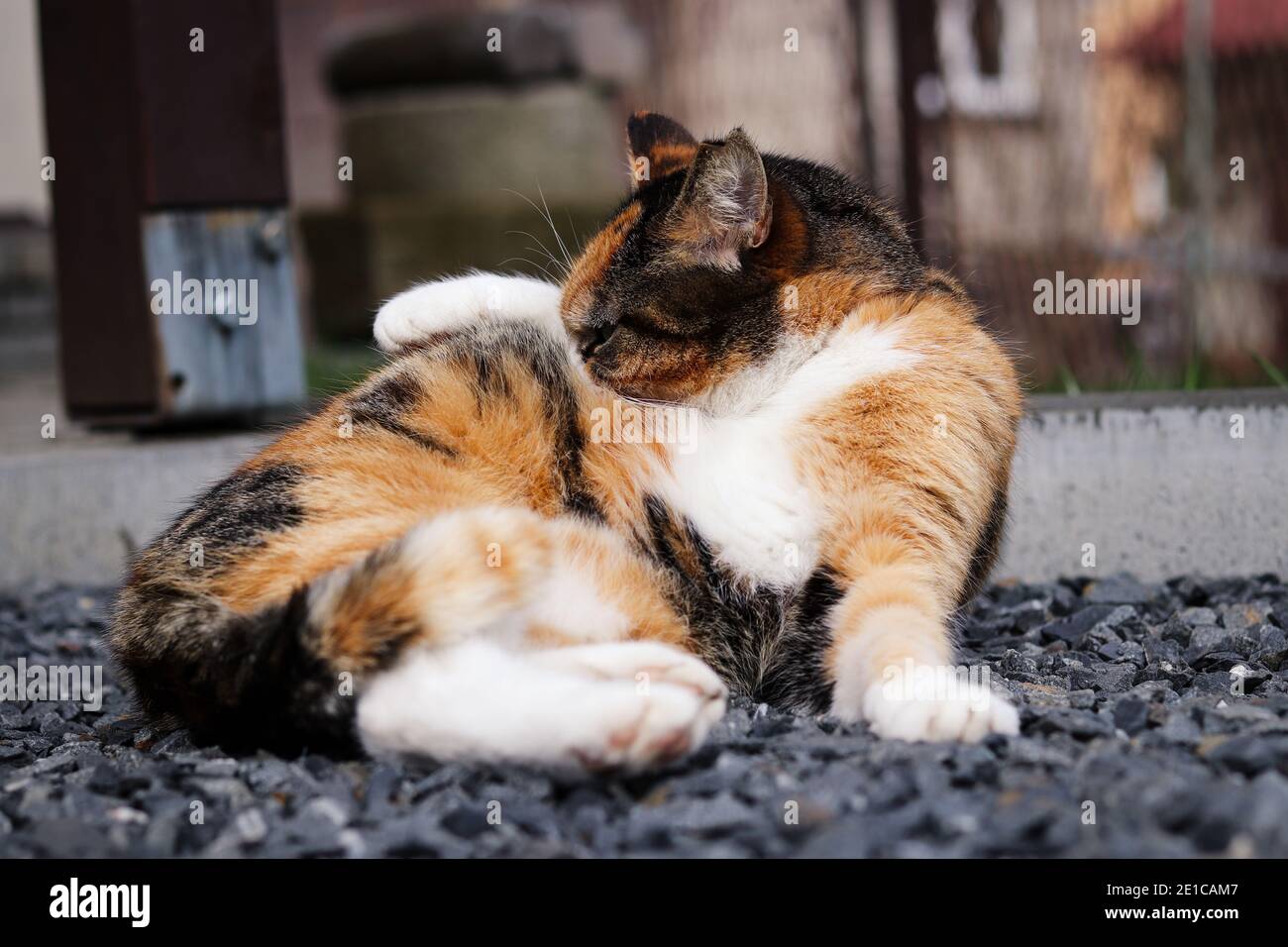 Hunter Daily Banque De Photographies Et D Images A Haute Resolution Alamy