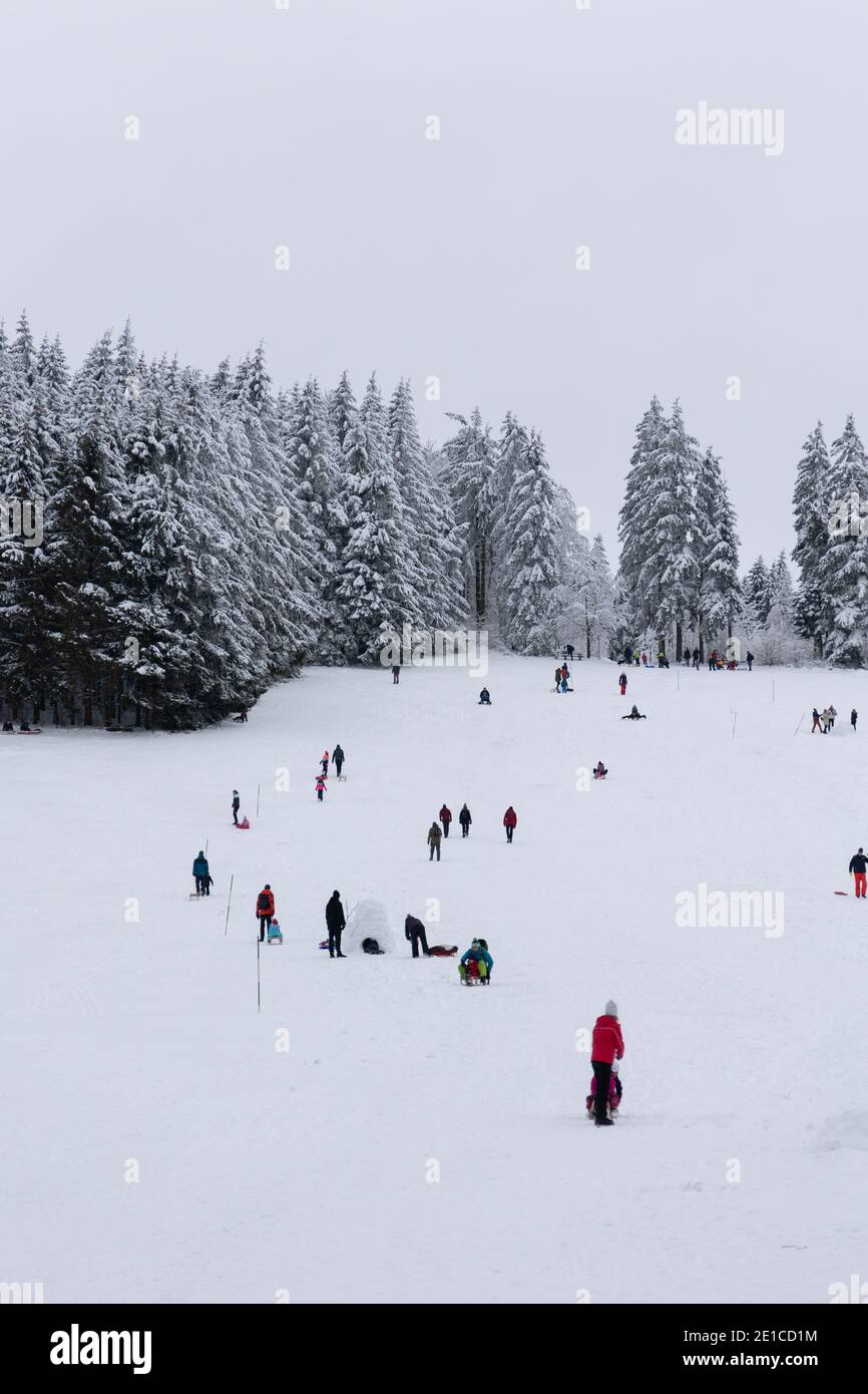 Piste de luge sur Farnsberg, Bavière Banque D'Images