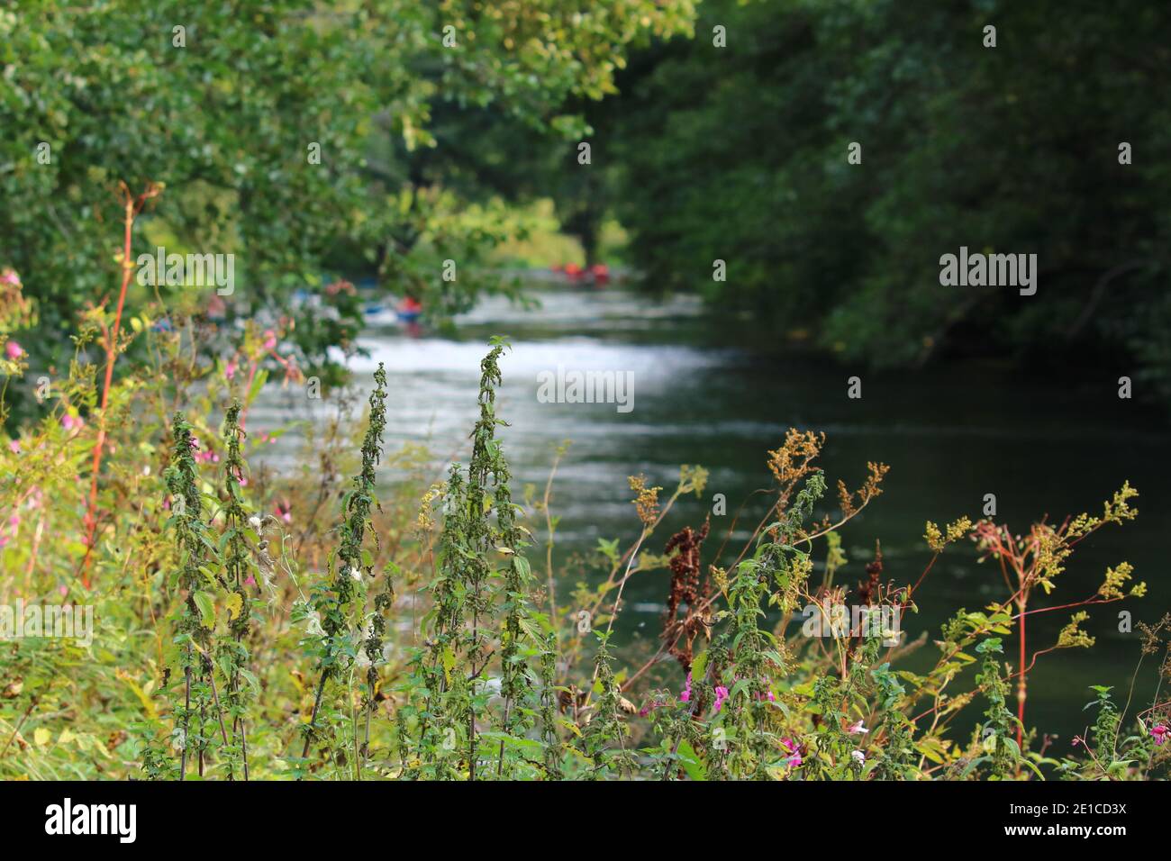 vue panoramique sur la rivière wiesent dans la haute-franconie Banque D'Images