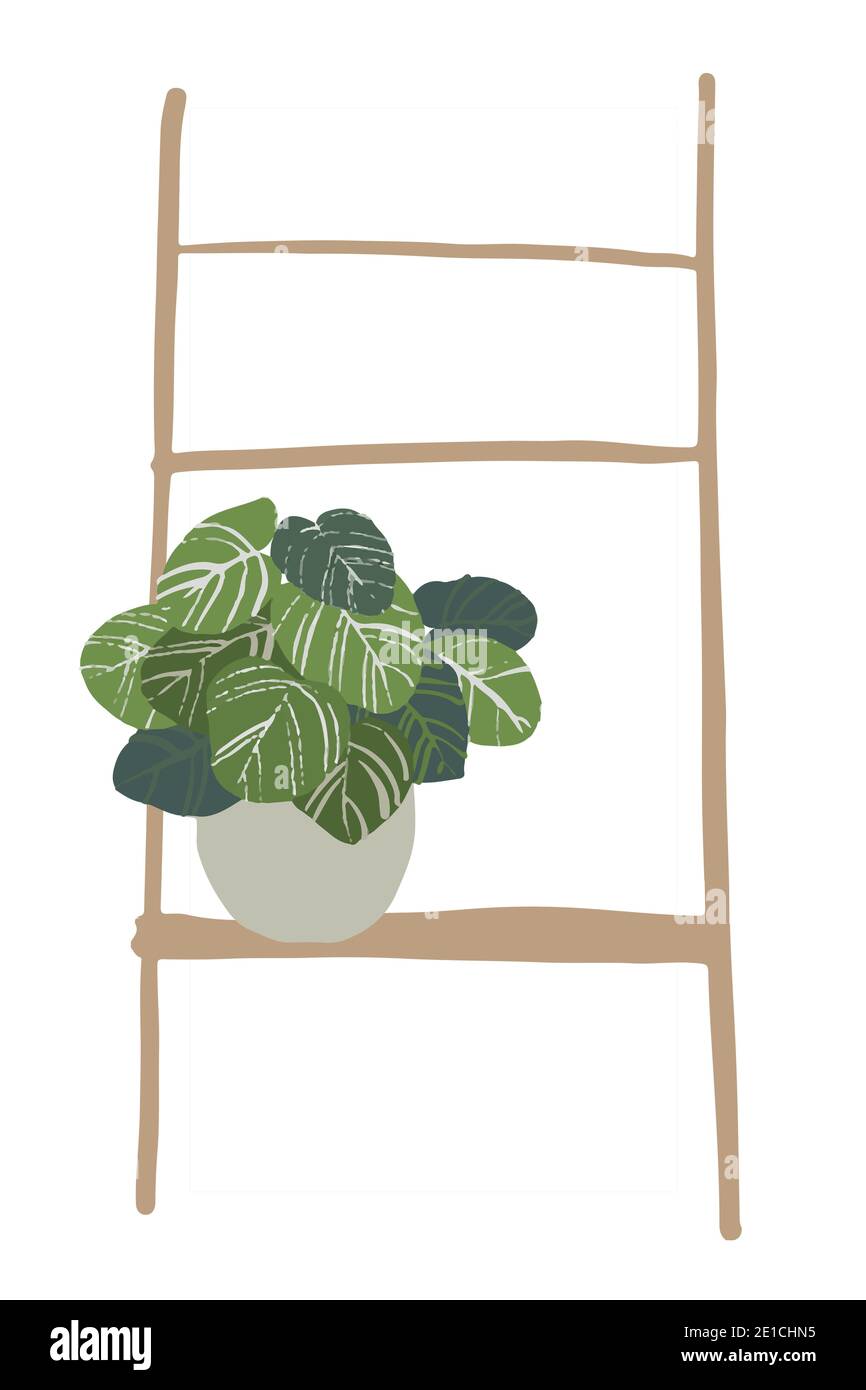 Plantes maison en pot isolées sur fond blanc. Illustration avec lettrage élégant - les plantes sont nos fiends Banque D'Images