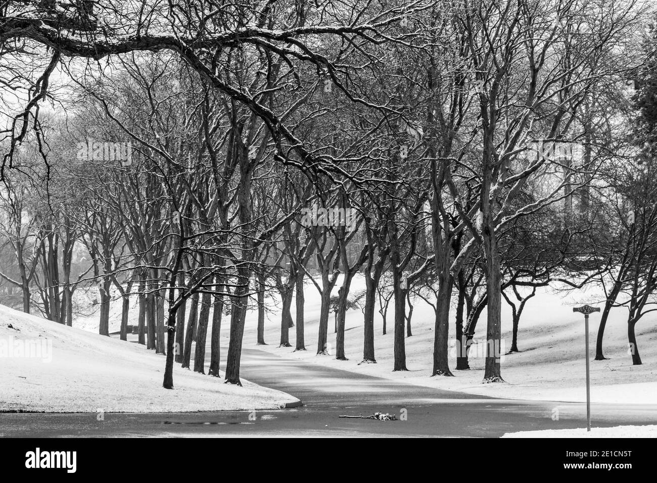 Detroit, Michigan - neige tôt le matin dans le cimetière d'Elmwood. Banque D'Images
