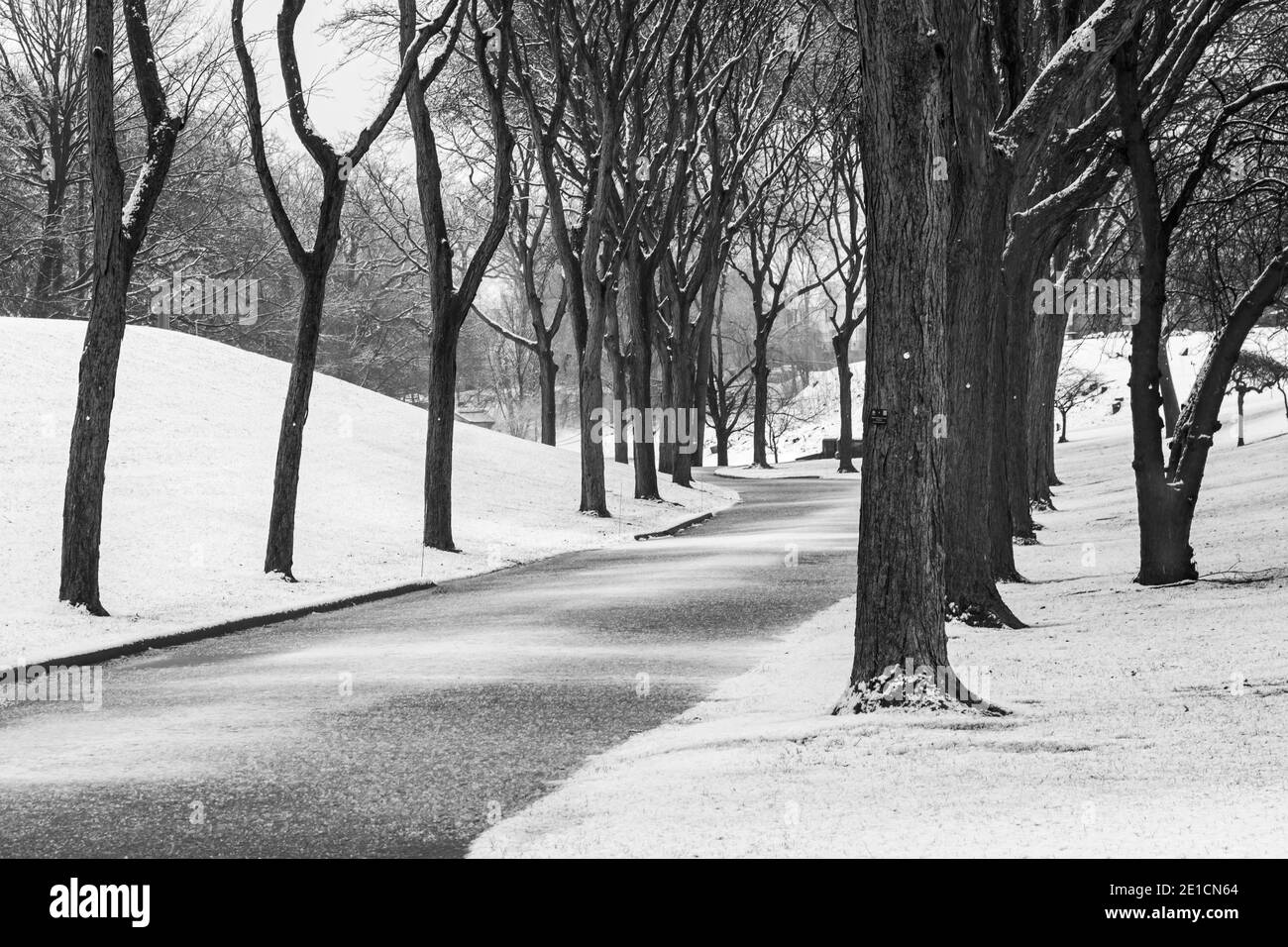 Detroit, Michigan - neige tôt le matin dans le cimetière d'Elmwood. Banque D'Images