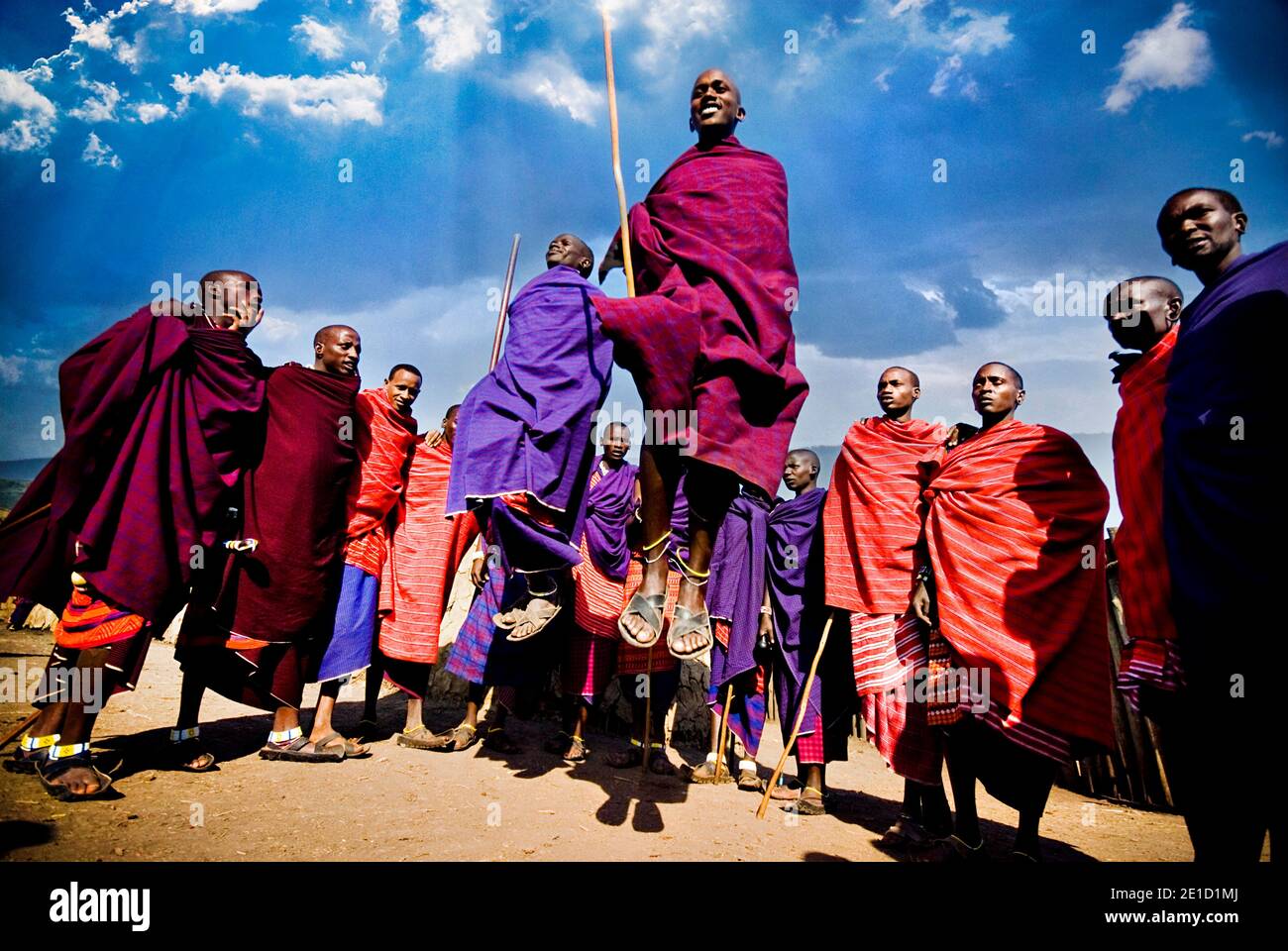 Les gens de Massai dansant, cratère de Ngorongoro, Tanzanie Banque D'Images