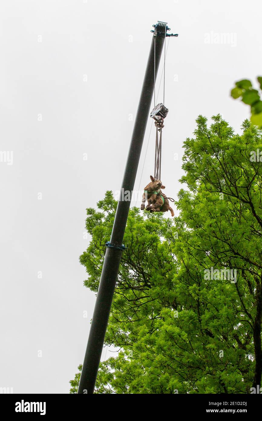 Photo : thomasbekker.com Banque D'Images