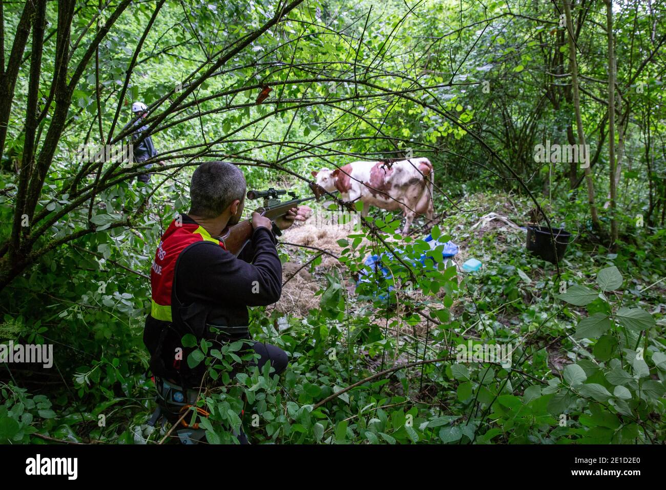 Photo : thomasbekker.com Banque D'Images