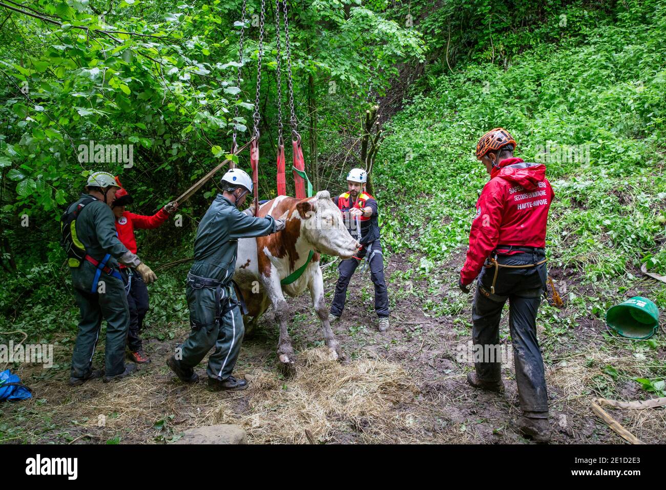 Photo : thomasbekker.com Banque D'Images