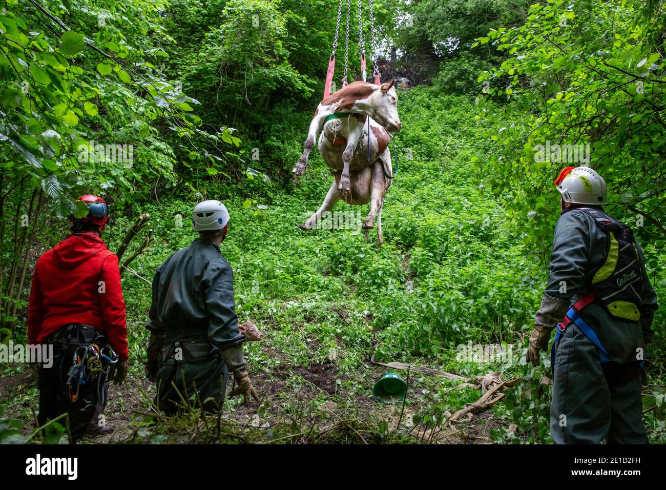 Photo : thomasbekker.com Banque D'Images