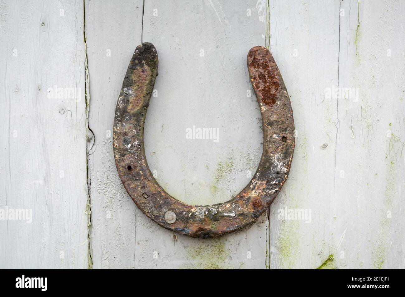 Fer à cheval rouillé sur une ancienne porte en bois abîmé, Royaume-Uni Banque D'Images