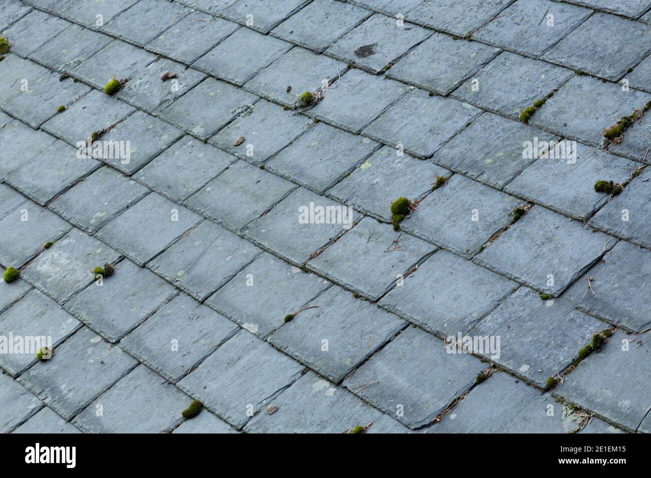 Vieux tuiles de toit en ardoise avec mousse et lichen, arrière-plan de toiture, Royaume-Uni Banque D'Images