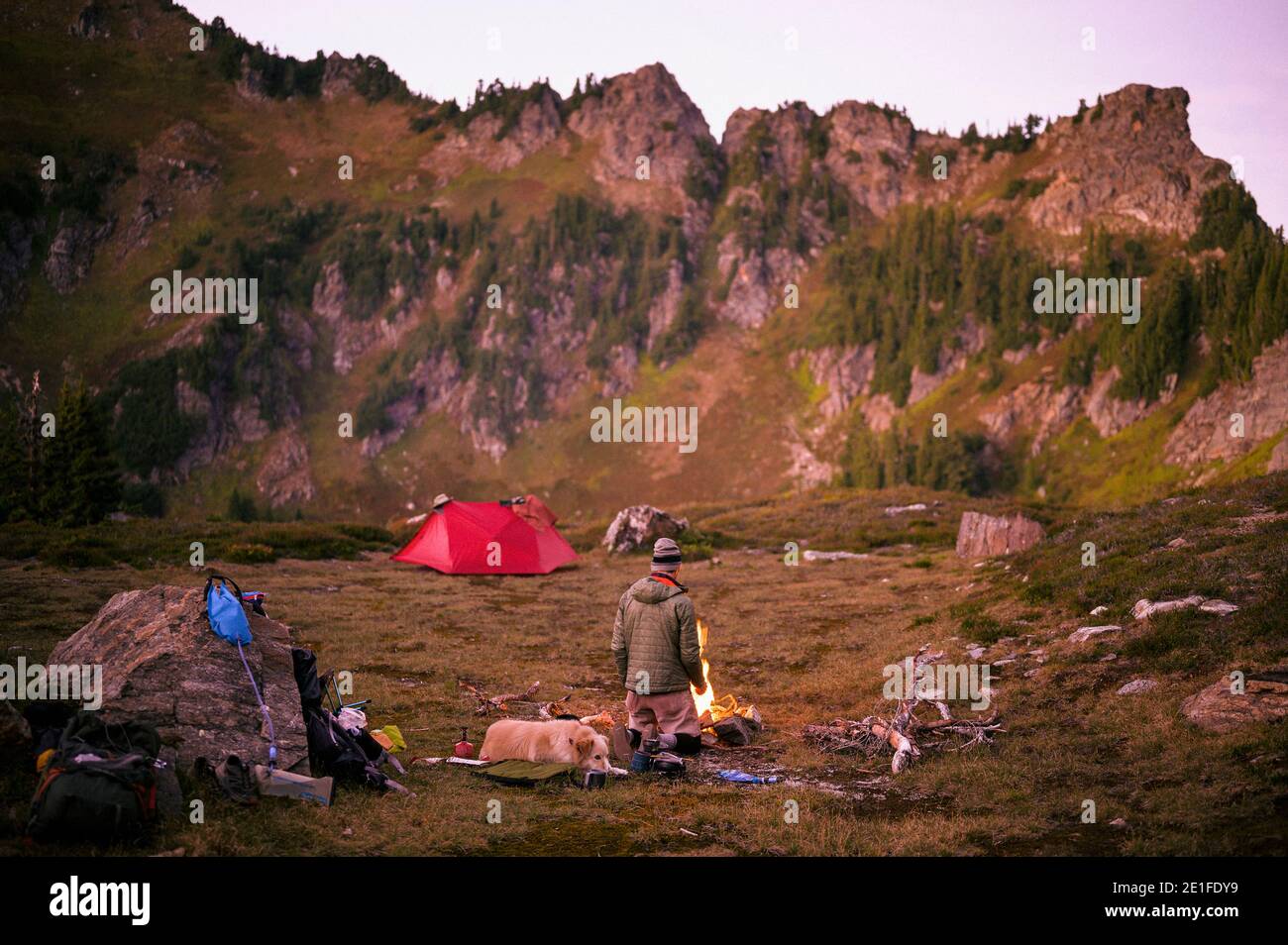Camping dans l'arrière-pays alpin avec tente et chien Banque D'Images