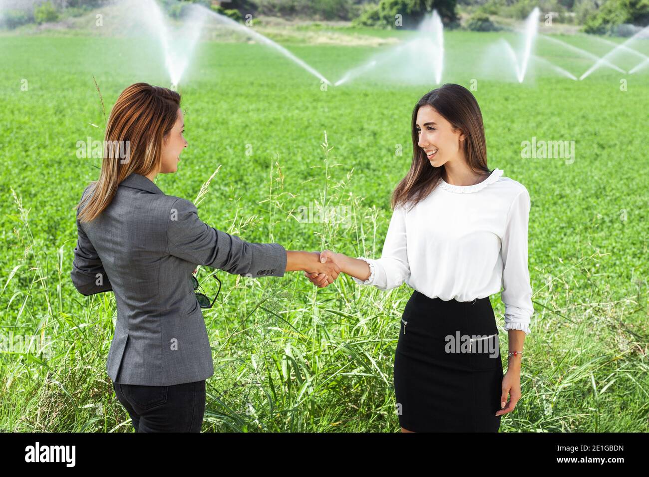Les femmes d'affaires se secouent la main dans un champ vert avec un système d'irrigation agricole. Arroseurs d'eau en arrière-plan. Banque D'Images
