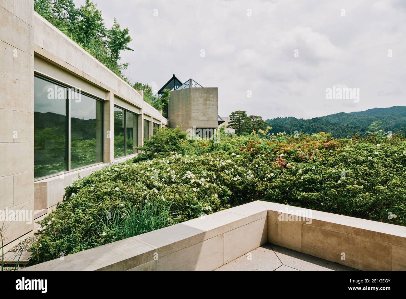 Musée Miho, préfecture de Shiga, Japon. 80% du musée a été créé sous terre pour préserver son environnement naturel. Banque D'Images